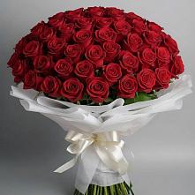 Букет 101 Красная роза Блэк Мэджик в Салым