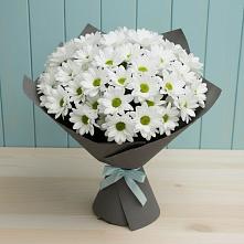 Букет цветов из:  Хризантемы #REPLACE_PRED# Салым