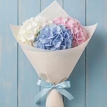 Букет цветов из:  Гортензия в Салым