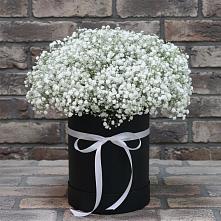 Цветочная композиция из Гипсофила в шляпной коробке в Салым