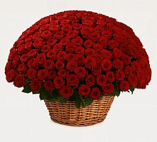 Премиум букет из: Розы #REPLACE_PRED# Салым