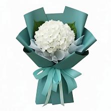 Букет цветов из:  Гортензия в Салым